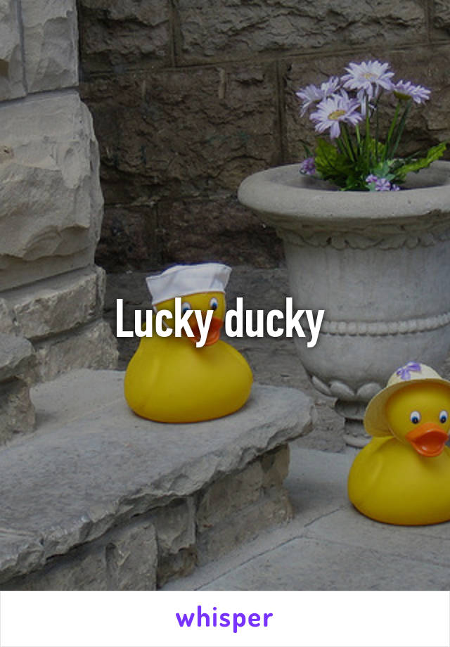 Lucky ducky 