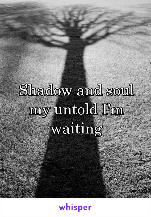 Shadow and soul my untold I'm waiting