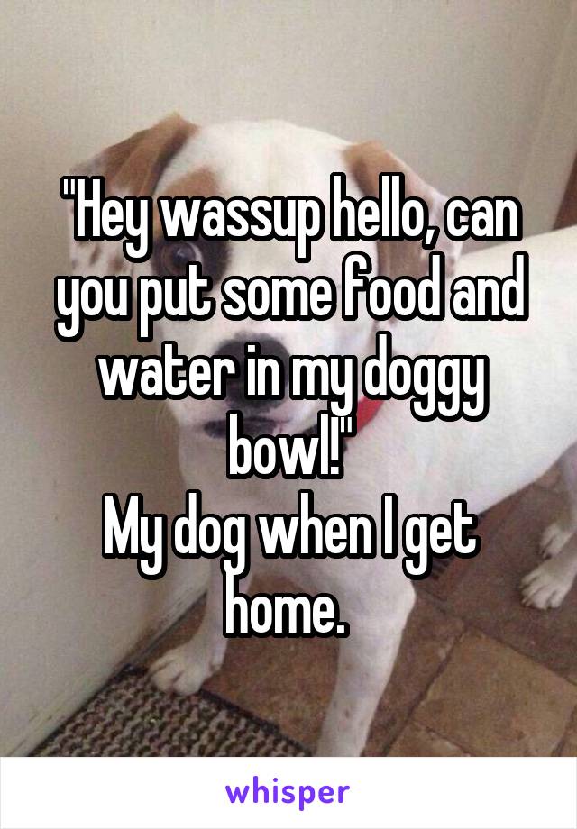 "Hey wassup hello, can you put some food and water in my doggy bowl!"
My dog when I get home. 