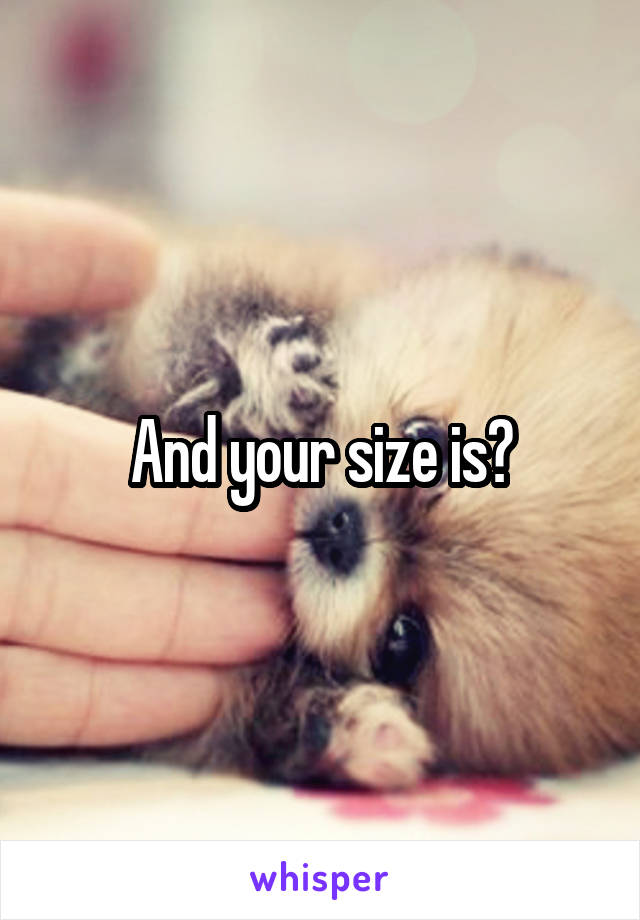 And your size is?