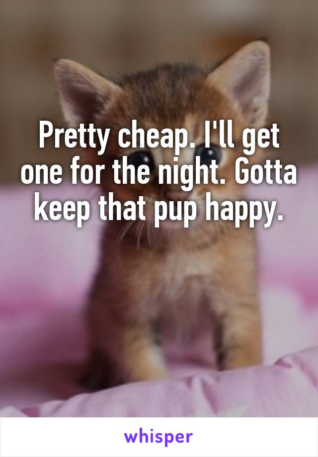 Pretty cheap. I'll get one for the night. Gotta keep that pup happy.


