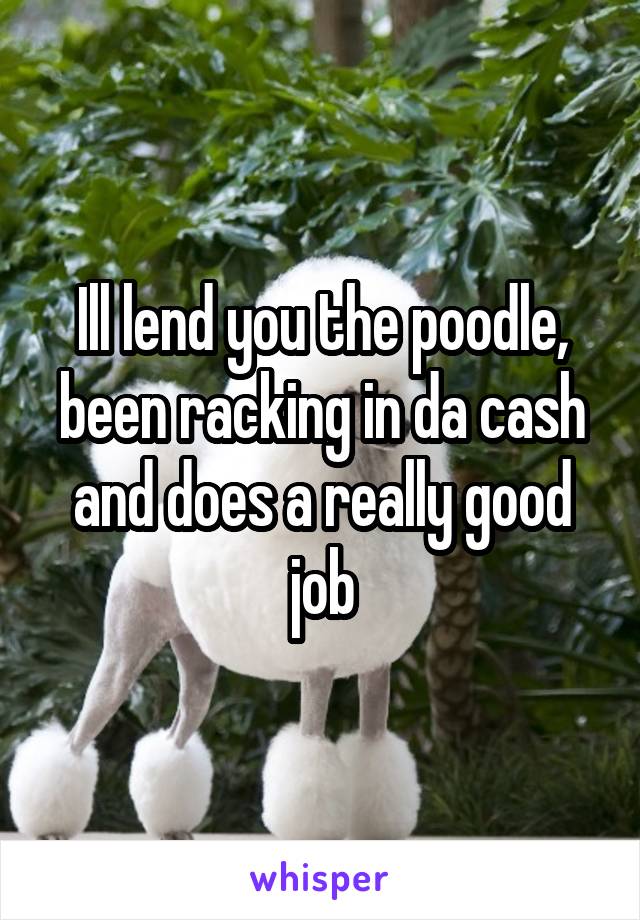 Ill lend you the poodle, been racking in da cash and does a really good job