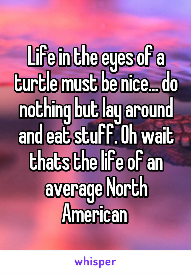 Life in the eyes of a turtle must be nice... do nothing but lay around and eat stuff. Oh wait thats the life of an average North American 