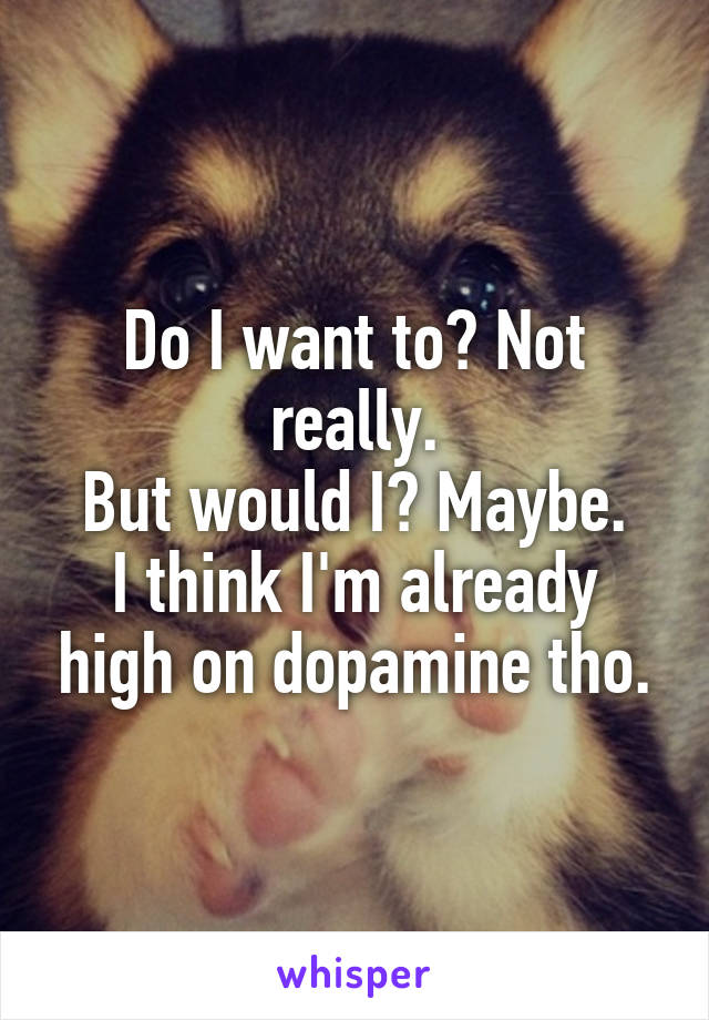 Do I want to? Not really.
But would I? Maybe.
I think I'm already high on dopamine tho.