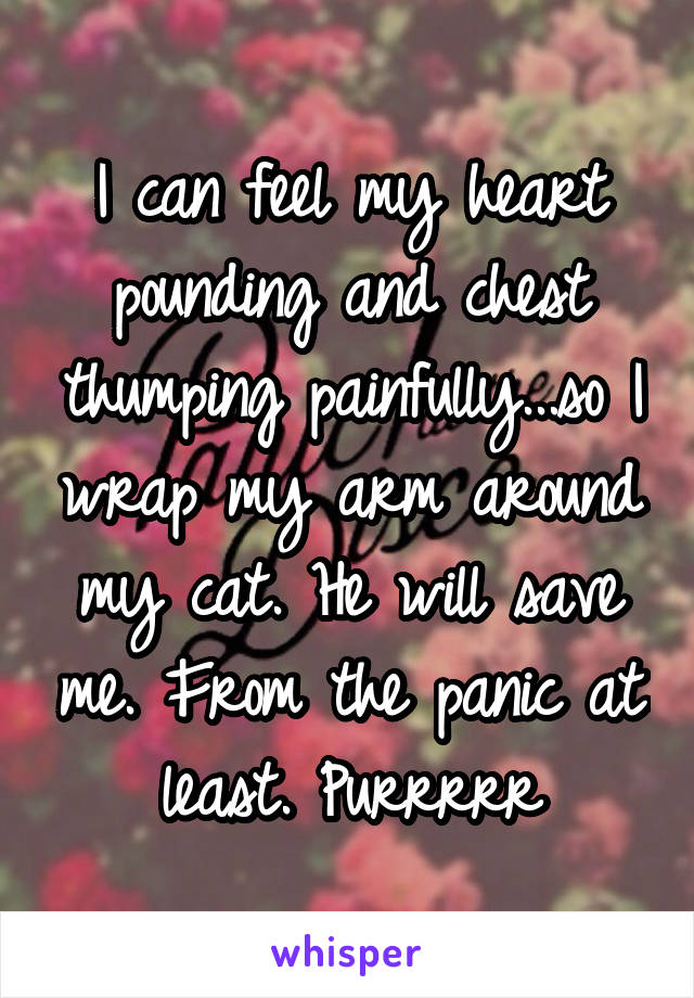 I can feel my heart pounding and chest thumping painfully...so I wrap my arm around my cat. He will save me. From the panic at least. Purrrrr