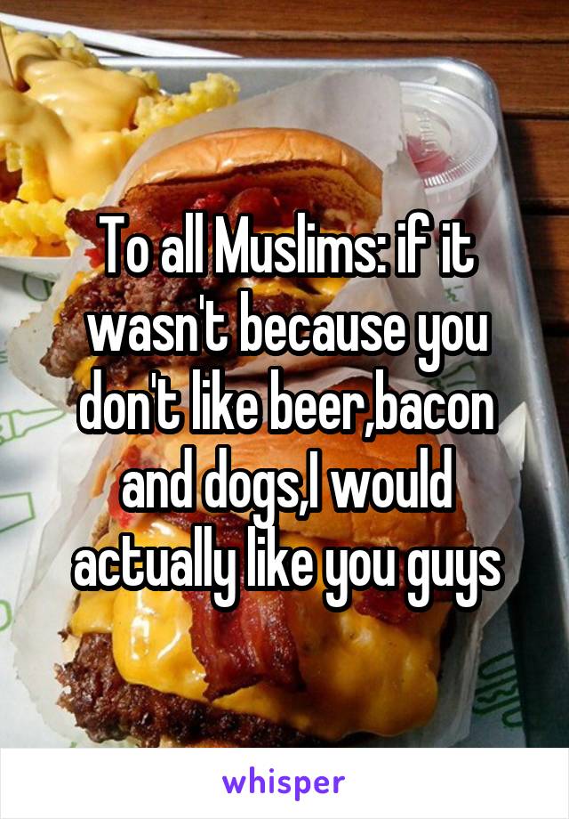 To all Muslims: if it wasn't because you don't like beer,bacon and dogs,I would actually like you guys