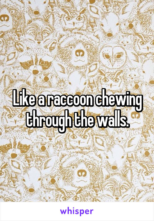 Like a raccoon chewing through the walls.