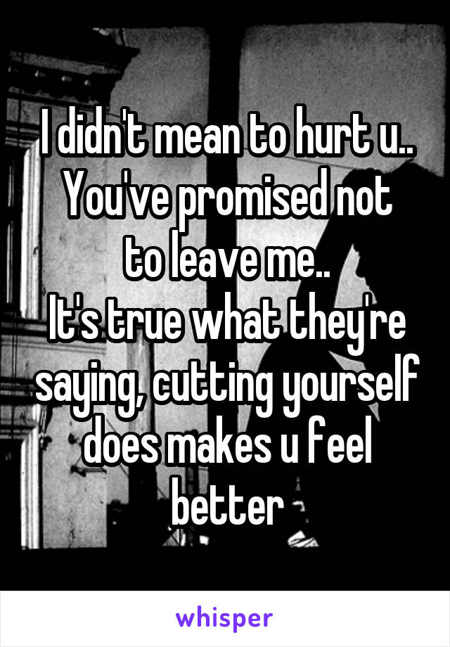 I didn't mean to hurt u..
You've promised not to leave me..
It's true what they're saying, cutting yourself does makes u feel better