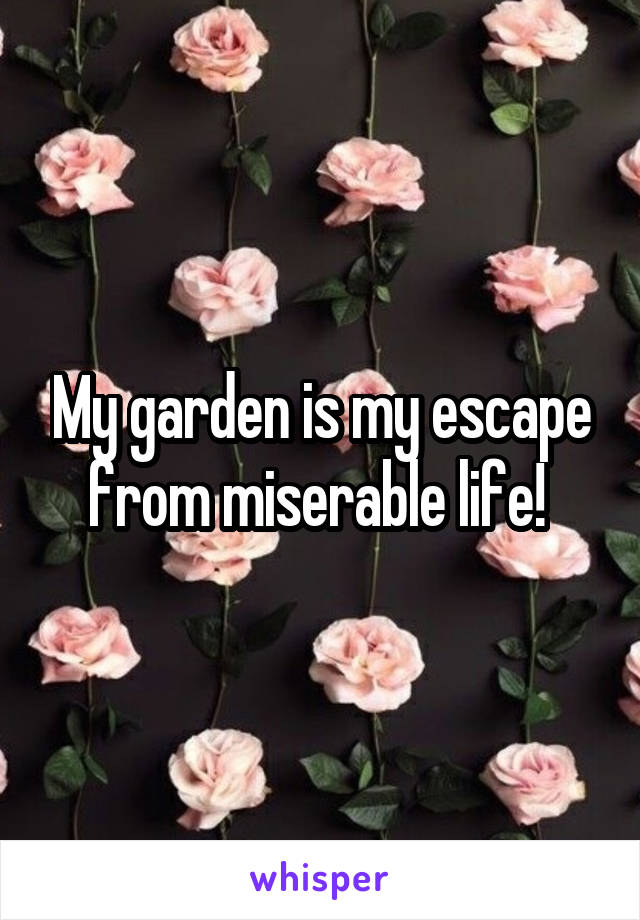 My garden is my escape from miserable life! 