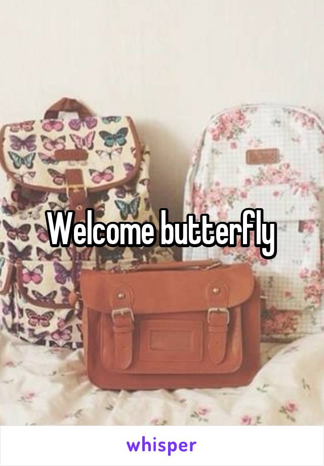 Welcome butterfly 