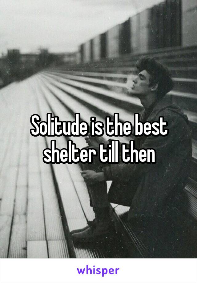 Solitude is the best shelter till then