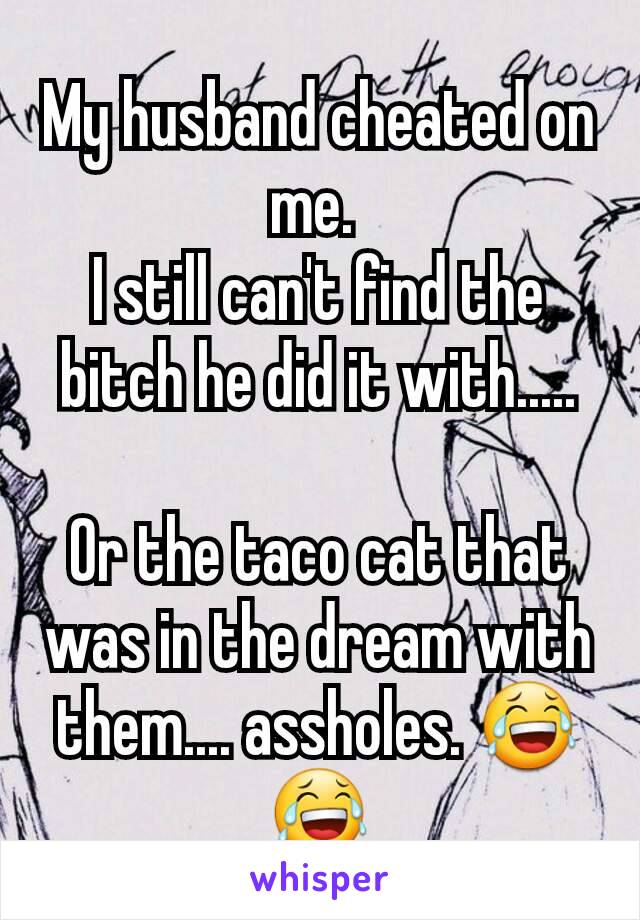 My husband cheated on me. 
I still can't find the bitch he did it with.....

Or the taco cat that was in the dream with them.... assholes. 😂😂