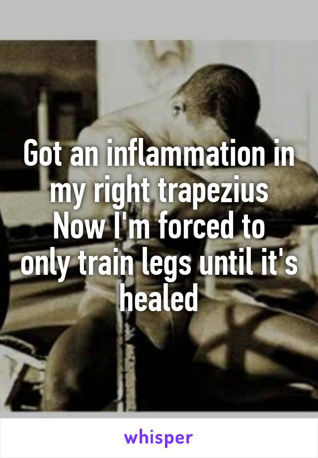 Got an inflammation in my right trapezius
Now I'm forced to only train legs until it's healed