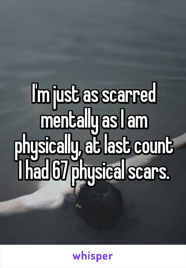 I'm just as scarred mentally as I am physically, at last count I had 67 physical scars.