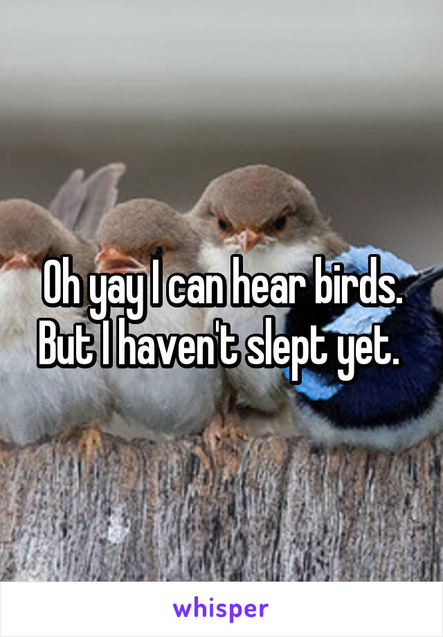 Oh yay I can hear birds. But I haven't slept yet. 