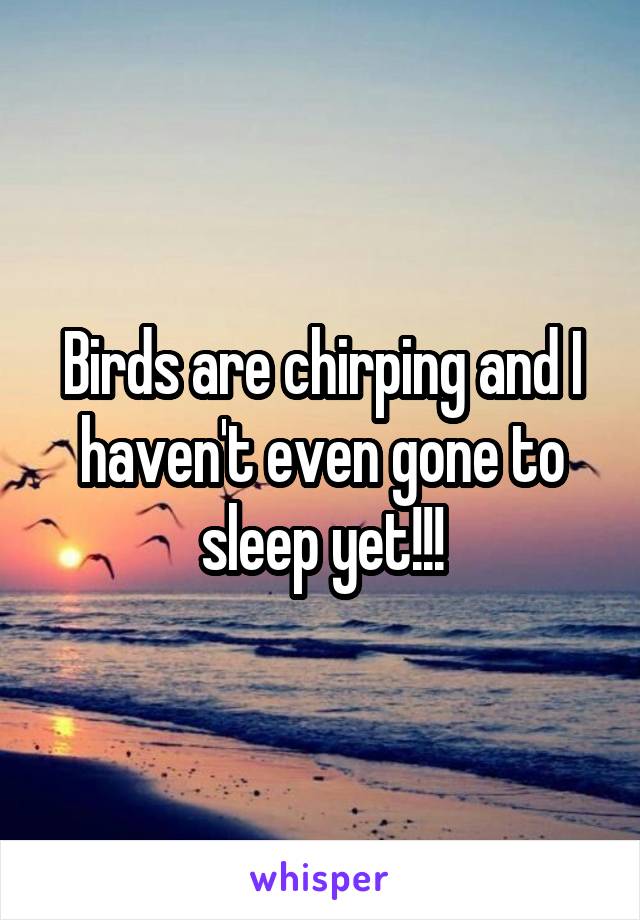 Birds are chirping and I haven't even gone to sleep yet!!!