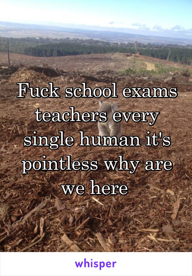 Fuck school exams teachers every single human it's pointless why are we here 