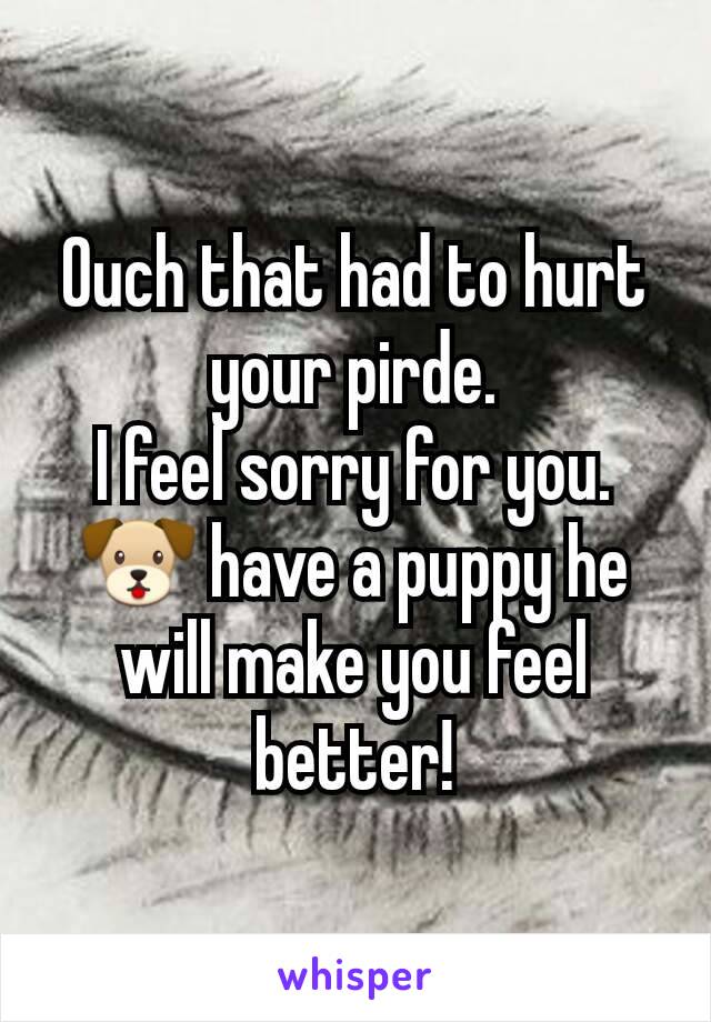 Ouch that had to hurt your pirde.
I feel sorry for you.
🐶 have a puppy he will make you feel better!