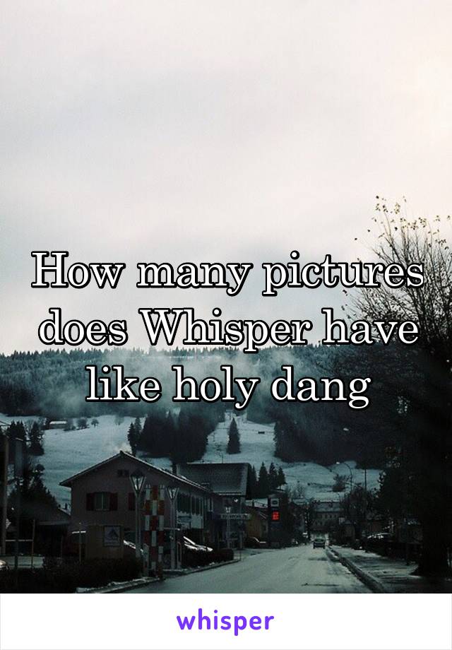 How many pictures does Whisper have like holy dang