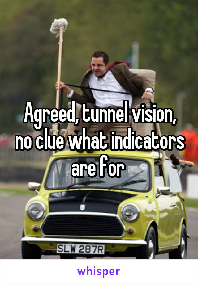 Agreed, tunnel vision, no clue what indicators are for 