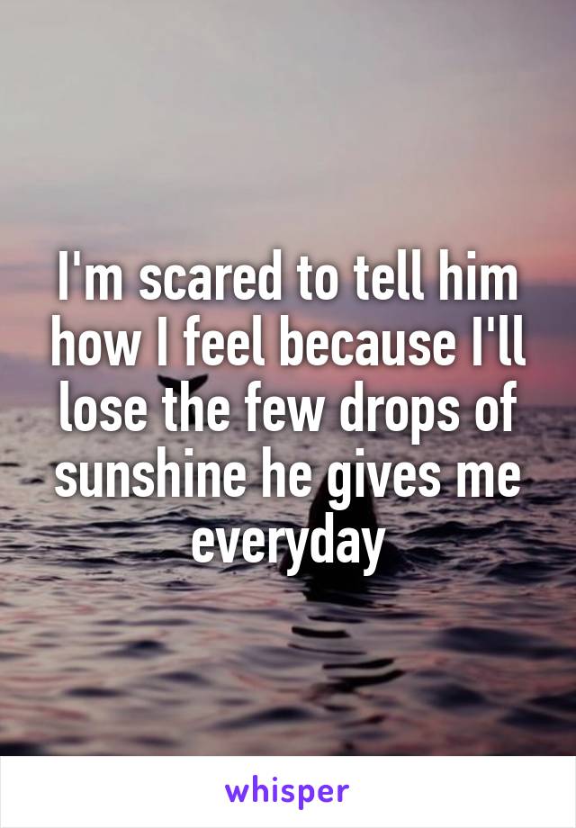 I'm scared to tell him how I feel because I'll lose the few drops of sunshine he gives me everyday