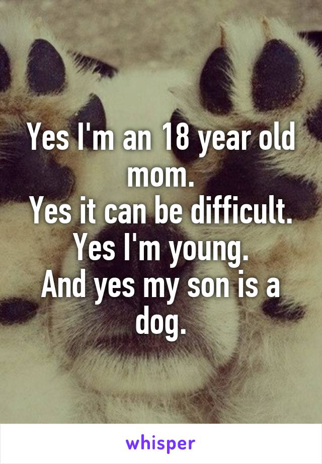 Yes I'm an 18 year old mom.
Yes it can be difficult.
Yes I'm young.
And yes my son is a dog.