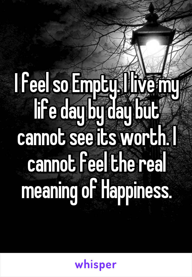 I feel so Empty. I live my life day by day but cannot see its worth. I cannot feel the real meaning of Happiness.