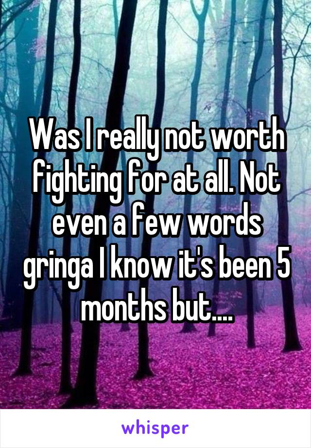 Was I really not worth fighting for at all. Not even a few words gringa I know it's been 5 months but....