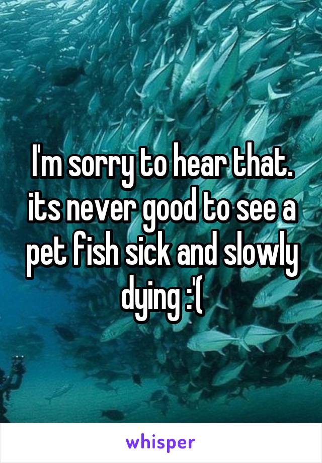 I'm sorry to hear that. its never good to see a pet fish sick and slowly dying :'(