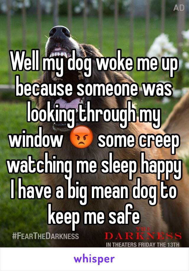 Well my dog woke me up because someone was looking through my window 😡 some creep watching me sleep happy I have a big mean dog to keep me safe 