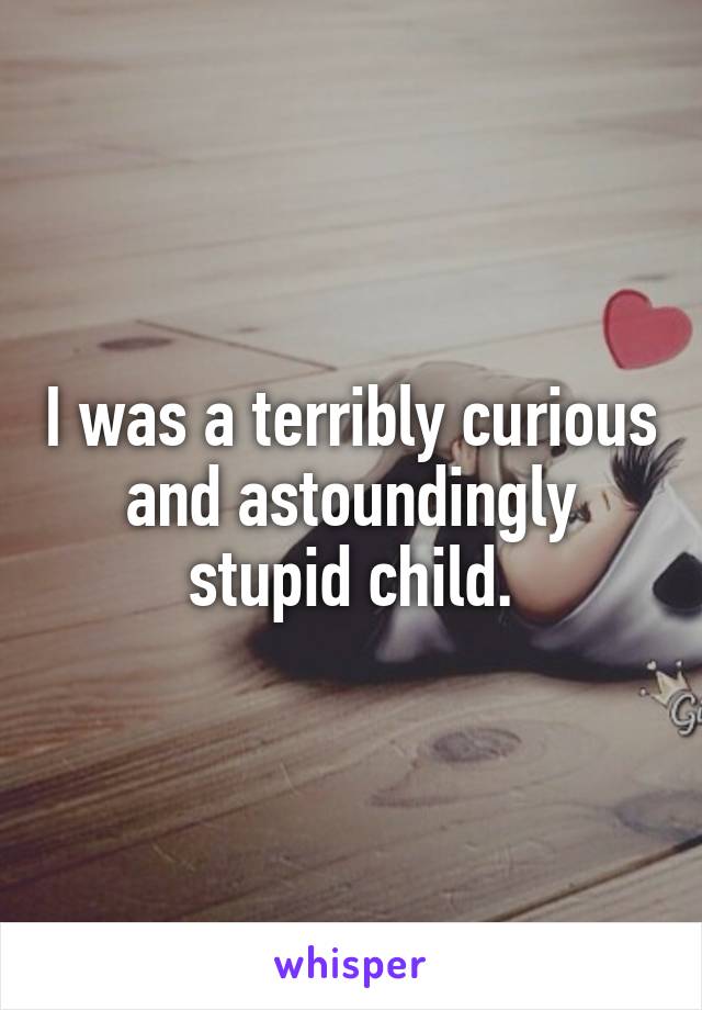 I was a terribly curious and astoundingly stupid child.