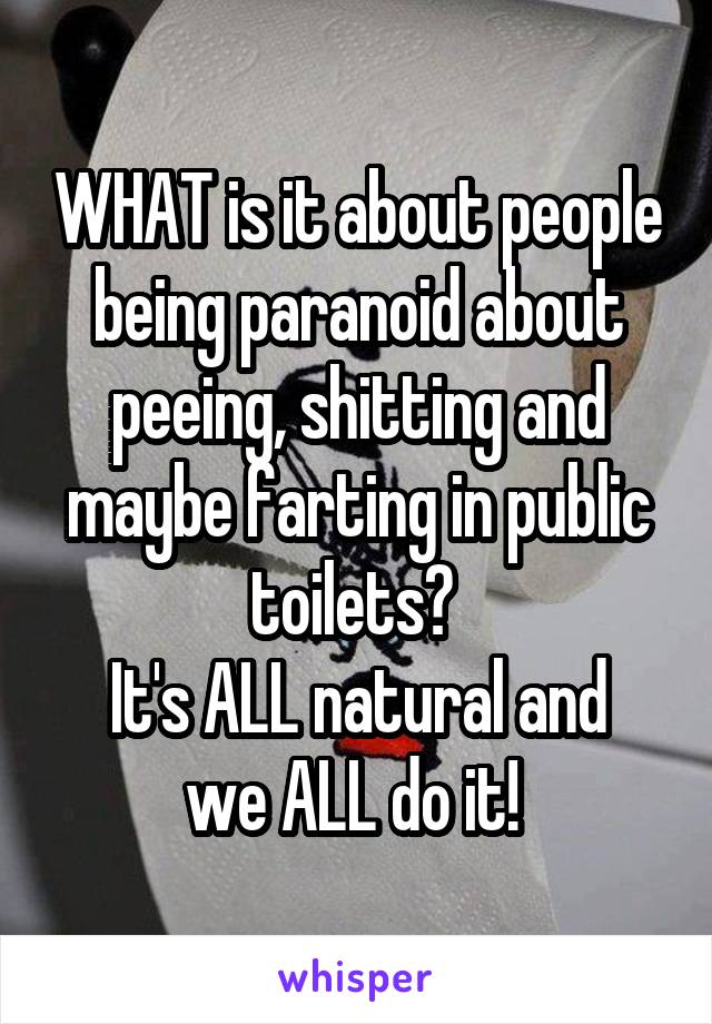 WHAT is it about people being paranoid about peeing, shitting and maybe farting in public toilets? 
It's ALL natural and we ALL do it! 