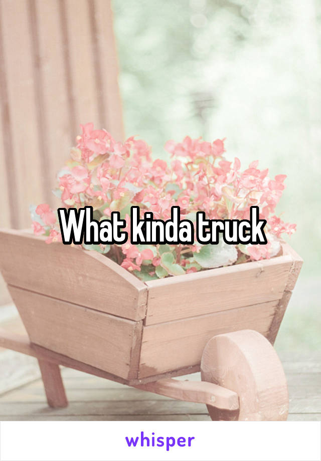 What kinda truck