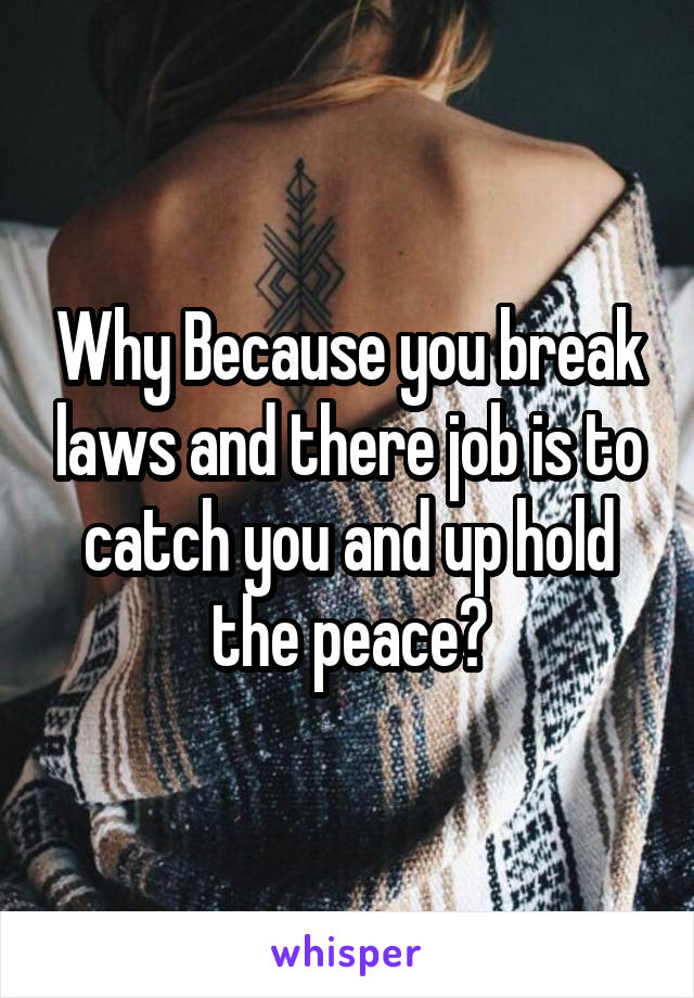 Why Because you break laws and there job is to catch you and up hold the peace?