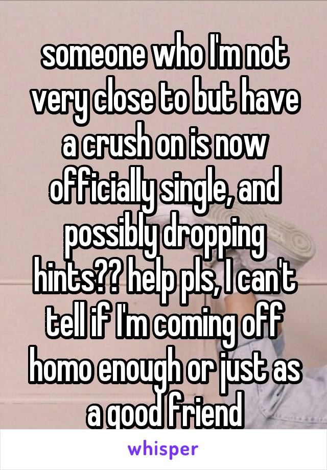 someone who I'm not very close to but have a crush on is now officially single, and possibly dropping hints?? help pls, I can't tell if I'm coming off homo enough or just as a good friend