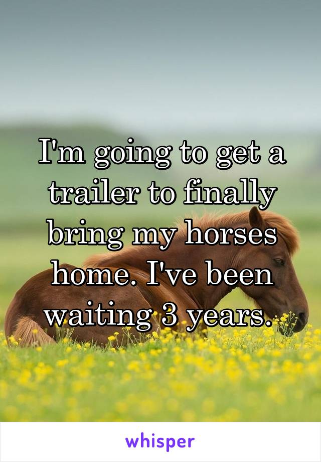 I'm going to get a trailer to finally bring my horses home. I've been waiting 3 years. 