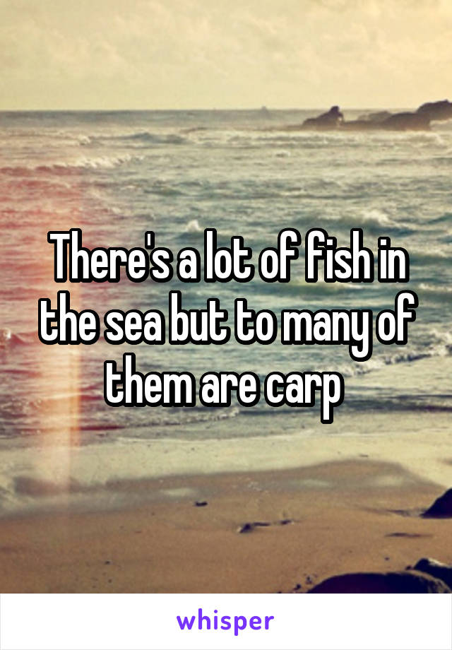 There's a lot of fish in the sea but to many of them are carp 