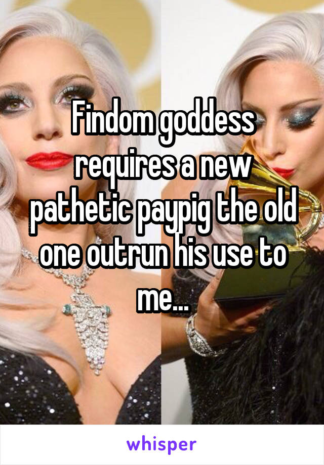 Findom goddess requires a new pathetic paypig the old one outrun his use to me...
