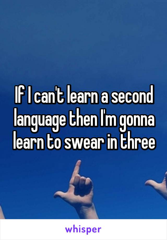 If I can't learn a second language then I'm gonna learn to swear in three