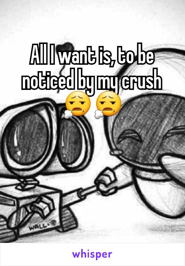 All I want is, to be noticed by my crush 😧😧