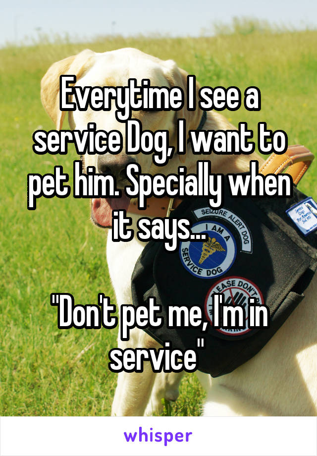 Everytime I see a service Dog, I want to pet him. Specially when it says...

"Don't pet me, I'm in service" 