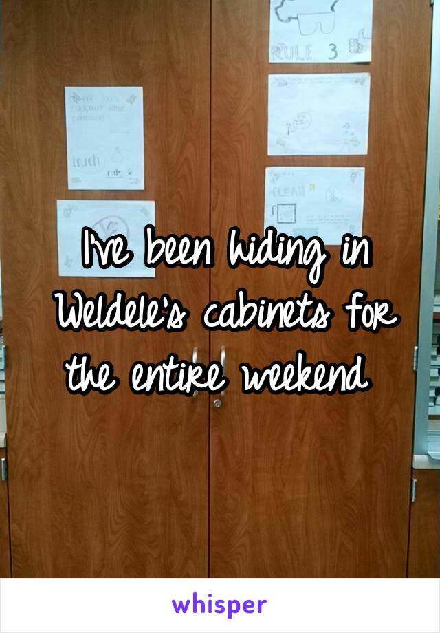 I've been hiding in Weldele's cabinets for the entire weekend 