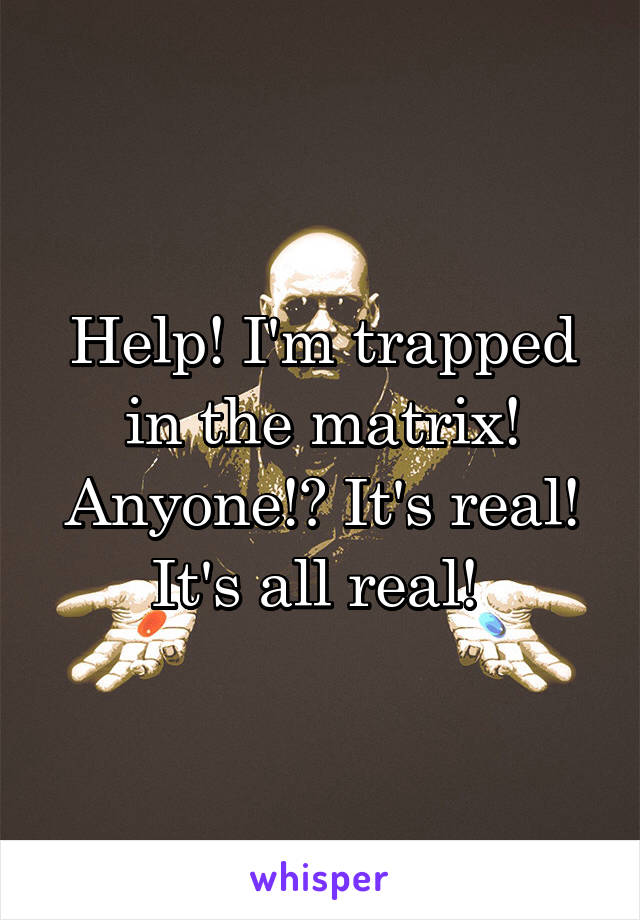 Help! I'm trapped in the matrix! Anyone!? It's real! It's all real! 