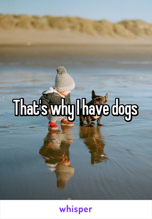 That's why I have dogs 