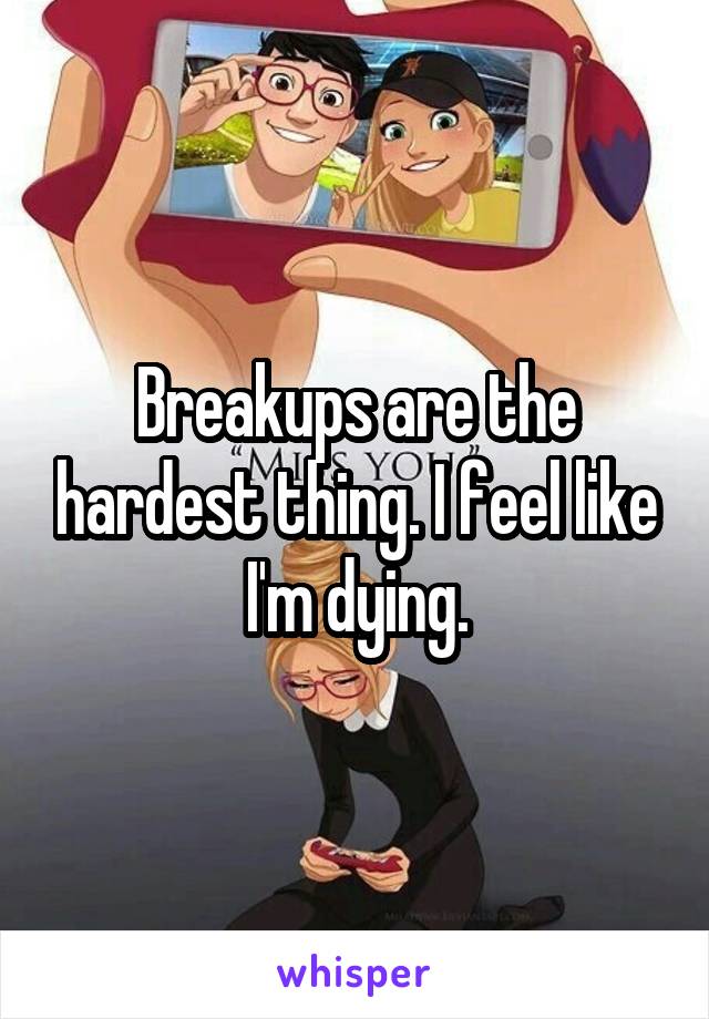 Breakups are the hardest thing. I feel like I'm dying.