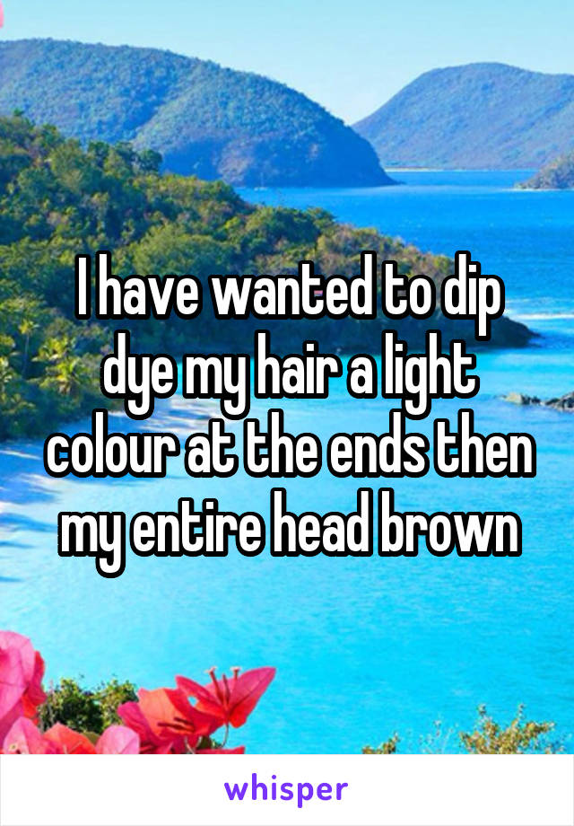 I have wanted to dip dye my hair a light colour at the ends then my entire head brown