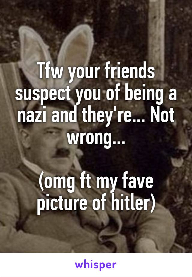 Tfw your friends suspect you of being a nazi and they're... Not wrong...

(omg ft my fave picture of hitler)