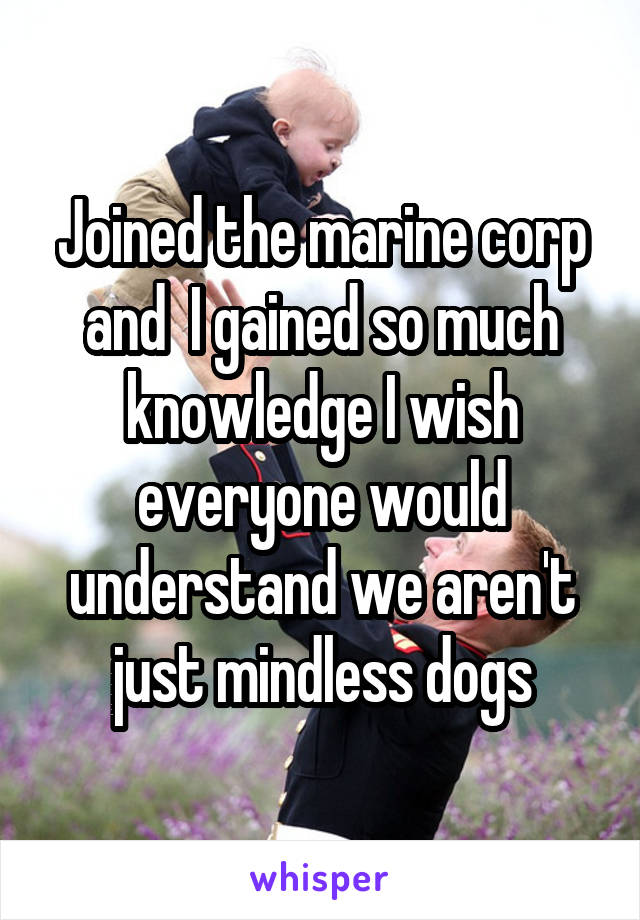 Joined the marine corp and  I gained so much knowledge I wish everyone would understand we aren't just mindless dogs