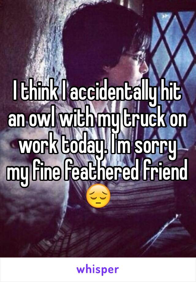 I think I accidentally hit an owl with my truck on work today. I'm sorry my fine feathered friend 😔