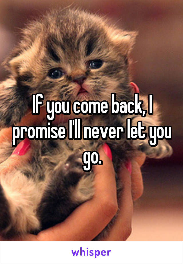 If you come back, I promise I'll never let you go.